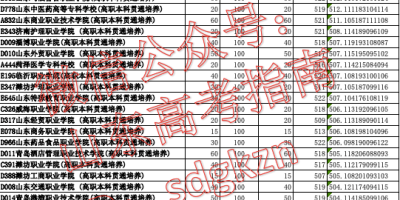 保定职业技术学院2023录取分数线高吗？一文读懂！