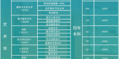 2024想考上海视觉艺术学院，艺术类学费一年大概要多少钱？