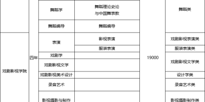 2024四川文化艺术学院艺术类专业一年学费是多少？