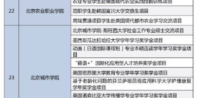 2025北京城市学院研究生奖助学金申请条件看这里