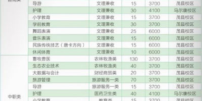 长沙卫生职业学院2024单招计划，你想知道的都在这！