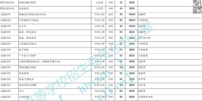 2023湖北大学知行学院艺术类录取分数线大揭秘！