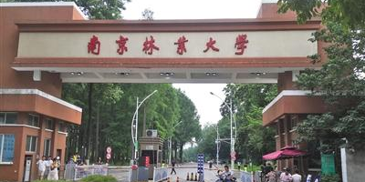 南京林业大学好不好？你想知道的都在这了！