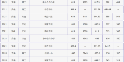 2024山东外国语职业技术大学录取分数线解析