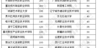 2024年南宁职业技术大学单招简章变化大吗？