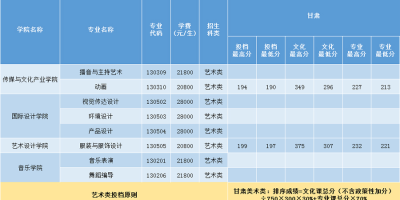 三亚学院艺术类学费2024年标准，一年交多少？