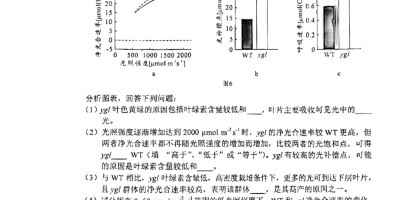 山东高考是全国几卷？是全国一卷还是二卷？