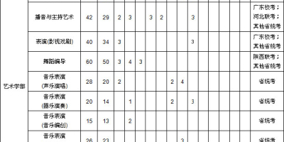 2024年深圳大学艺术类招生计划发布，速看！