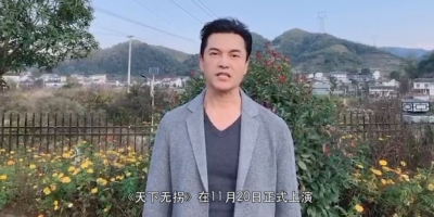 天下无拐_剧情免费在线查看_演员介绍_影视简介