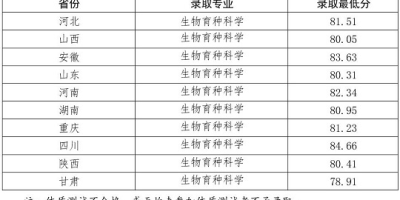 2024年山东大学强基计划招生简章详解，一看就懂！